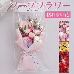   j ͂Ȃ Mtg J[l[V  Vzj Ό [Y  ԑ  o^ v[g