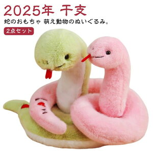 ʂ  N N qǂ  ʂ wr ʂ   ʂ ւ x 2025N 18cm/23cm