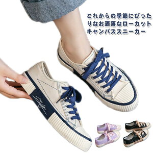 fB[X LoX ₷ EH[LOV[Y jOV[Y NV tH  