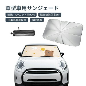 P 10{ KX ԗpTVF[h zՂȂ STCY TCY L ԗp P^ P  P^Cv tg  킢 ԎP