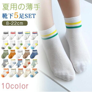 j Mtg w8`22cm xr[ ̎q j̎q LbY \bNX 5Zbg V[g C q  tėp qC LbY