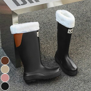 Cu[c fB[X C ۉ ~p ΍ CV[Y J C Cu[c ƌC  u[c O Sh