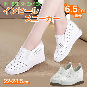  r   zCg C ̎q Xb| C p`O V[Y EH[LO Cq[ fB[X Xj[J[