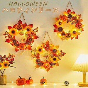 Ǌ| CeA  nEB[ t Cg   [X nEB hA[X l ԗ [X a30cm