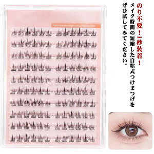 ACbV R v ܂  i` 2_Zbg ACCN p ڒܕsv ܂ sZbgt \tg