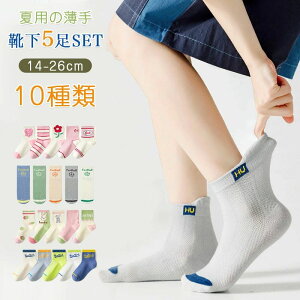 j Mtg w14`26cm xr[ ̎q j̎q LbY \bNX 5Zbg V[g C q  tėp qC LbY