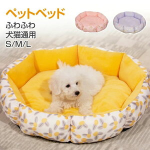    Lʗp xbh q ^ ybg\t@ @\ p  薰 ΍ ۉh