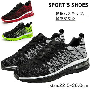 Y jOV[Y fB[X GA[NbV ₷ C EH[LOV[Y yʉ