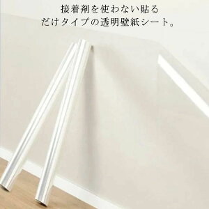 h h~ ܂Ƃh~ h~ lR ǎV[  q LbY EH[XebJ[ h h ΍ L ǕیV[g 