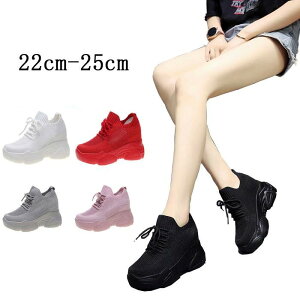  ₷  bV  T_ Ȃ Cq[ 8cm   X|[c EFbW\[  Xj[J[