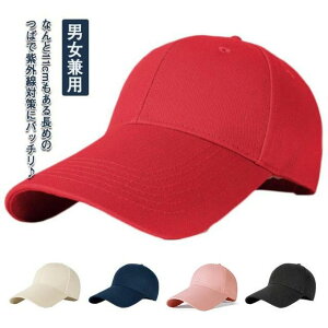 傫co  [   t jp ߉\ Y n  Ռ O΍ UV΍ fB[X Xq Lbv