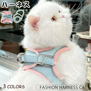  }WbNe[v Ȃ ˂lRqL Lpn[lX L [hZbg \tg \tgn[lX xXg^ n[lX