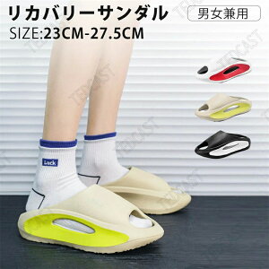  T_ O T_ [V[Y Xbp fB[X Y Xbp 5cmq[  ӂXbp