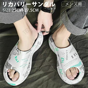   ~ _炩 y  ~ Xbp GA[NbVV[Y lԍHw Od 5cm Xbp