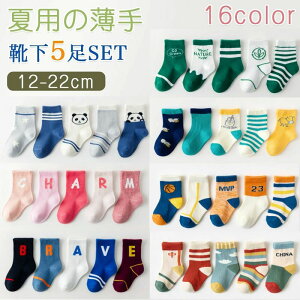 j Mtg w11`23cm xr[ ̎q j̎q LbY \bNX 5Zbg V[g C q  tėp qC LbY