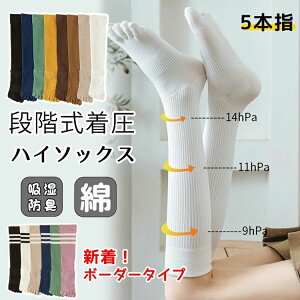 n X|[c hL d˗ ₦Ƃ g  H~  t Y fB[X C nC\bNX VFCv\bNX 5{w