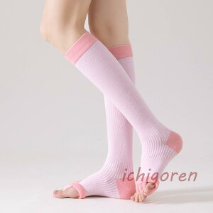 ŵ Y fB[X nC\bNX K\bNX bNX QƂ C Zs[ ₦΍  5{w L \bNX