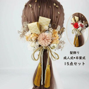  w R[f₷   a Ǝ wA[ANZT[  ܎O 15_Zbg ܂ݍ׍H 񎟉 