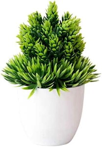 G} lHϗtA ItBX A CeAO[ b炸  CeA  y  tFCNO[