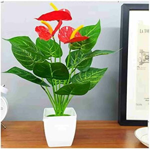  lHA`EA̐AȐẢԉƐlHAẢƂ̃zȇ V~[VvgA