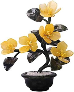 A̎ tFCNO[ ϗtA  e[ufR[V lH z ͂Ȃ ~  G} CeAO[