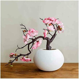 ~͂̑i  rO[e[up (sN) ~̉ lHA  rO[̑i  ԕr