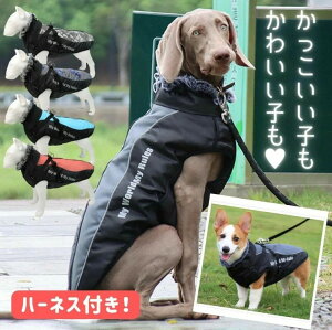 n[lX xXg   AE^[ {A t@[ AEghA X|[c ̕ EFA g   p ^ ^ 