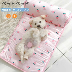 S5F ̂ybg}bg ybg⊴}bg ybgpi p}bg Ђ  ₽  L  t ėp ڐG⊴ 