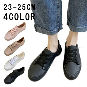  C C J ǂ [Jbg _炩 y Cu[c NR[f ₷  fB[X h Xj[J[