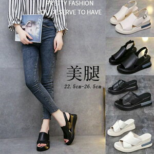 obNS SXgbv RtH[gT_  bNXT_ s ₷ X|[cT_ fB[X 