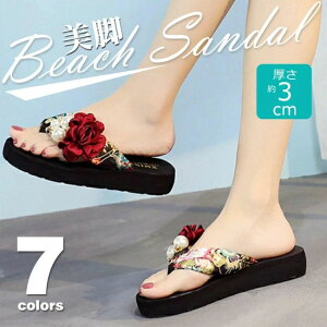 nh[  ₷ Ȃ ԏ t[ ԕt ~ [q[ gOT_ r[`T_ T_