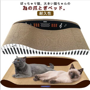 I[ rbO _{[ ^ Lpi cat ܃gM i{[ lR xbh L ˂ 傫TCY ߂Ƃ 傫ȔL ܌ xbg