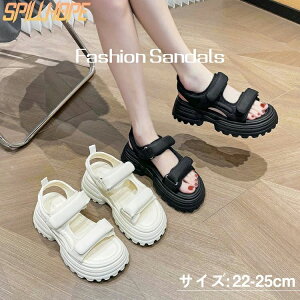 X|[cT_ fB[X  y Z w ₷ ɂȂ RtH[g r[`T_ Xj[J[ C V[