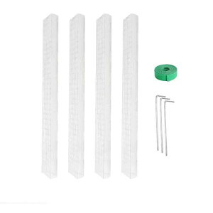 AT|[g2/4/6pcs ۃ|[p ۃ|[ ߉\  AT|[g NA X|[