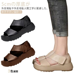 r ʋC  L Xj[J[T_ ɂ ₷ b Od EH[LO  gAbv K T_