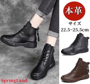 Sc GWjA[Xu[c GWjAu[c u[c ҂ݏグ [XAbvu[c [XAbv ҂ݏグu[c fB[X