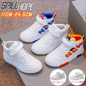 LbY _X Xj[J[ qC V[Y LbY Xj[J[ WjA LoX nCJbg y  Xg[g qbvz