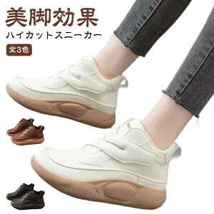 JW ʋC EH[LOV[Y  RtH[gV[Y  Xj[J[ Xb| O fB[X