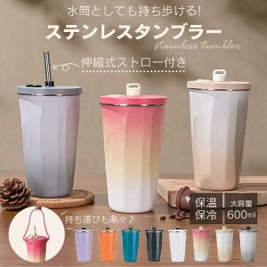 Xg[t Wt  e 600ml ۉ ۗ ^fM d\ XeX^u[ ڂȂ R[q[{g }O{g