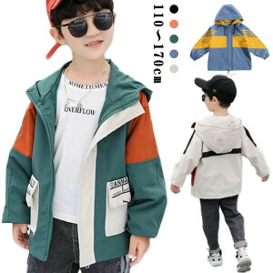 W HD Wbvp[J[ bV q }p[ ̎q j̎q EChu[J[ EBhu[J[ }Eep[J[