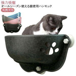 l  ~  nbN z H  L xbh 傫TCY | nbN L L Lxbh  t ybgxbh L