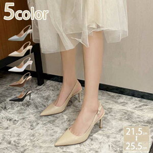 p[e tH[} l TCY obNXgbv rpvX 6cmq[ |CebhgD sq[ nCq[ r