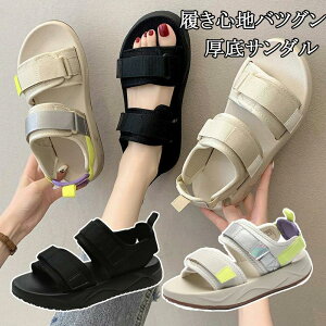 EFbW\[  X|T ʋC _bhV[Y X|[cT_ T}[ ₷ Xj[J[T_ fB[X y