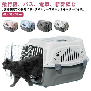 ybgpL n[hL[ Lp P[X ybgp P[W  p ^ LL[obN L n[h L[ ybg