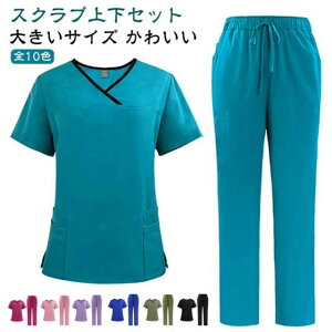 Spc m i[X Ōt fB[X ×p i[X 킢 Y{ pc   ㉺Zbg  XNu