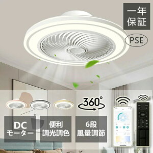  ȃGl VƖ Ɩ Cz t@tCg 铔 ʒ߉ F  V[OCg T[L[^[ LED