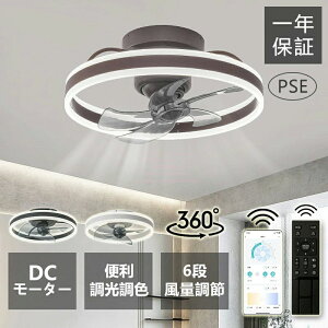  ȃGl VƖ Ɩ Cz t@tCg 铔 ʒ߉ F  V[OCg T[L[^[ LED