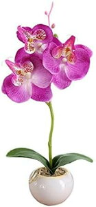 p[eB[ A  ԕr   fXNgbv lH p[eB[