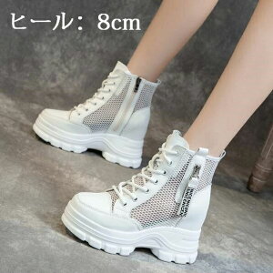 tbg EGbW\[ Cq[ 8cm [XAbvV[Y C fB[X T}[u[c bVu[c V[gu[c