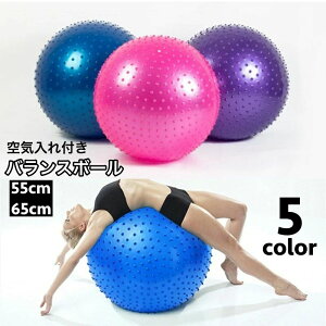 体幹トレーニング 運動不足解消 トレーニング エクササイズ 触覚ボール ヨガボール フィットネスボール 空気入れ付き 65cm 55cm